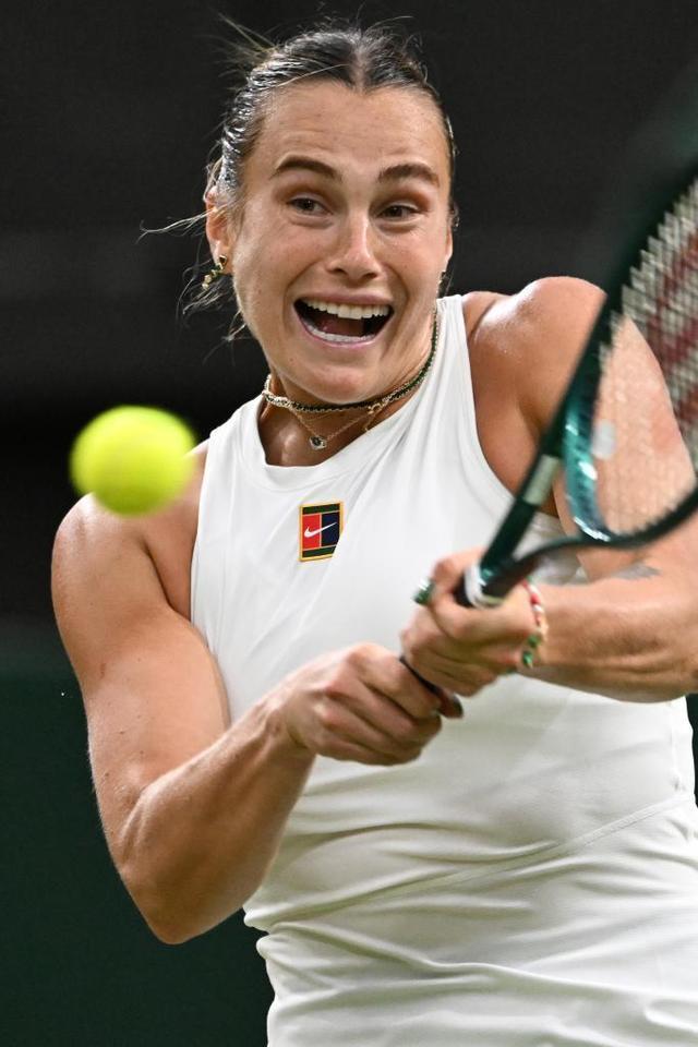 多样的庆祝 多样的庆祝